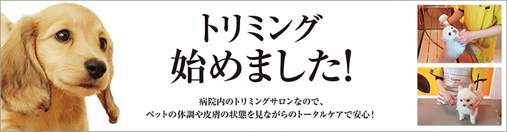 病院内のトリミングサロンなので、ペットの体調や皮膚の状態を見ながらのトータルケアで安心！専属のトリマー2名がお待ちしております。