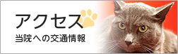 アクセス-当院への交通情報