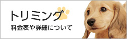 トリミング-料金表や詳細について